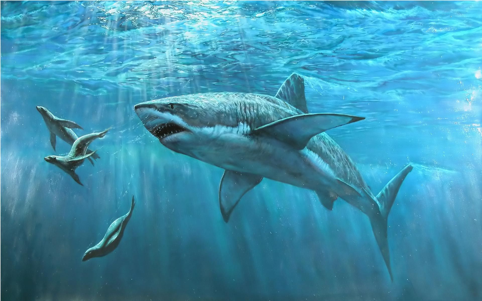 3D Shark Optical Illusions. Shark Hunting Pc Wallpaper Photo HD Wallpaper. Shark in the ocean, Shark picture, Great white shark