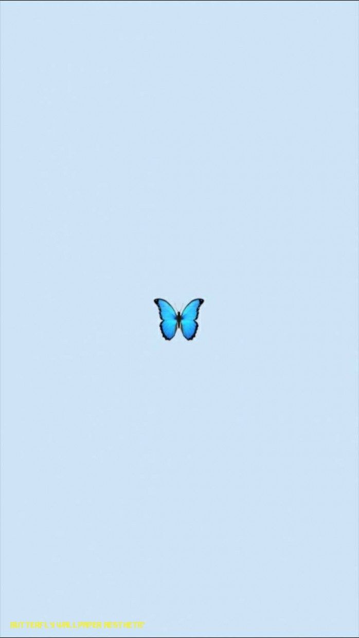 VSCO Butterfly Wallpaper