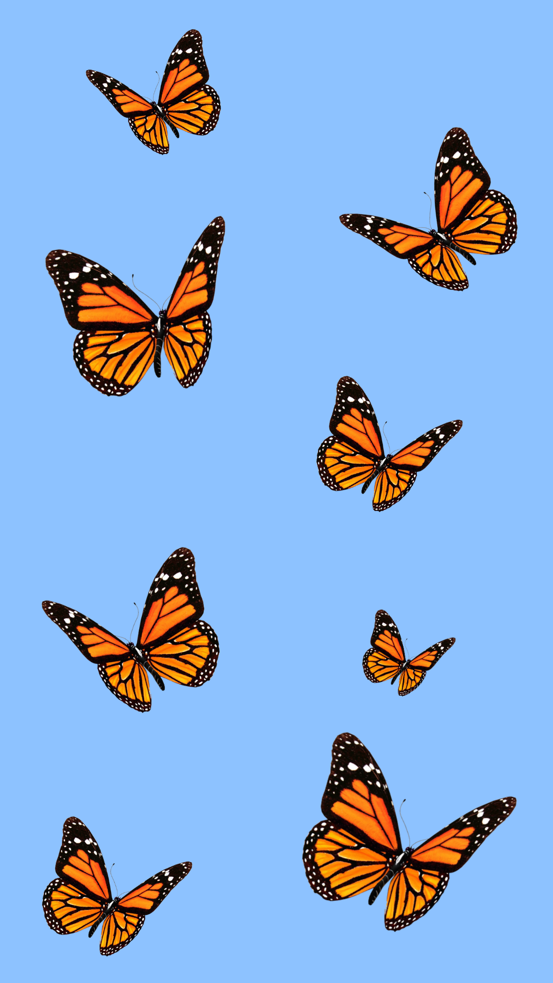 monarchbutterfly #butterfly #blue #peace #aesthetic #tumbler