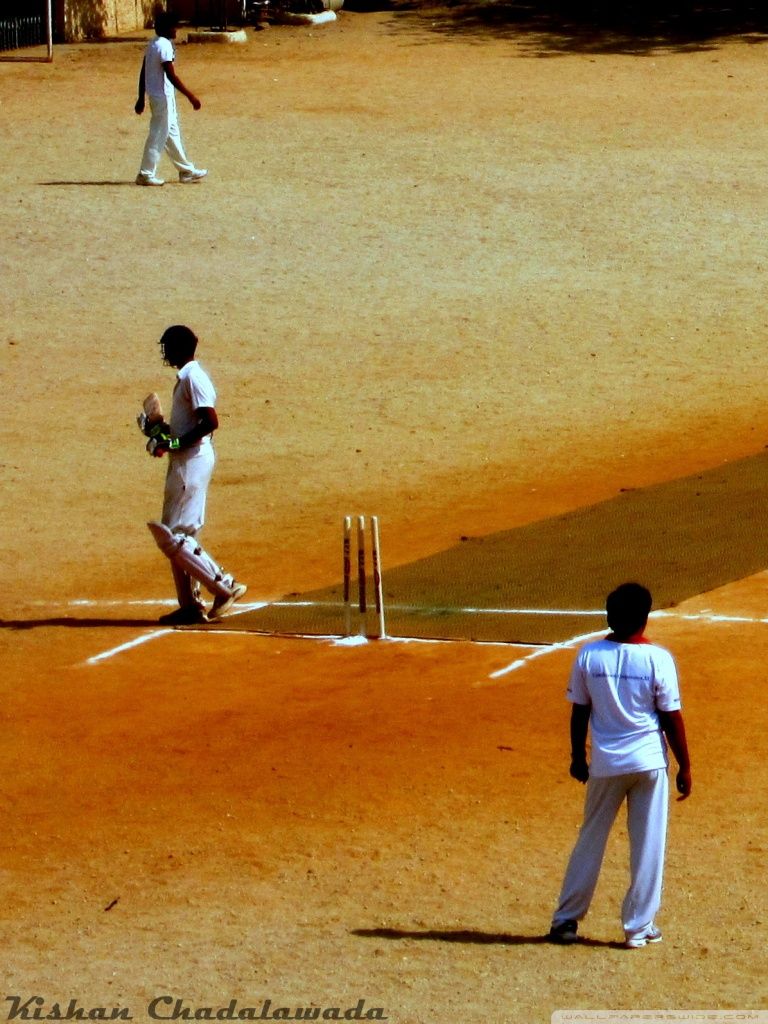 Cricket. Ultra HD Desktop Background Wallpaper for 4K UHD TV