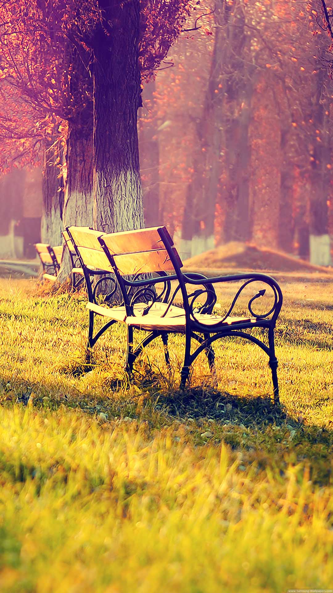 Autumn park bench