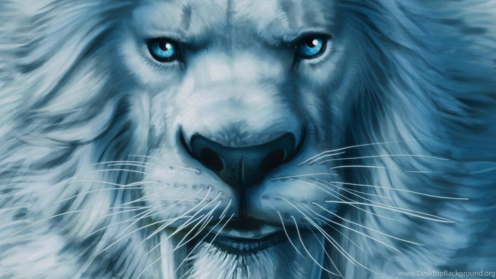 Lion In Blue Sky Background HD Lion Wallpapers  HD Wallpapers  ID 69225