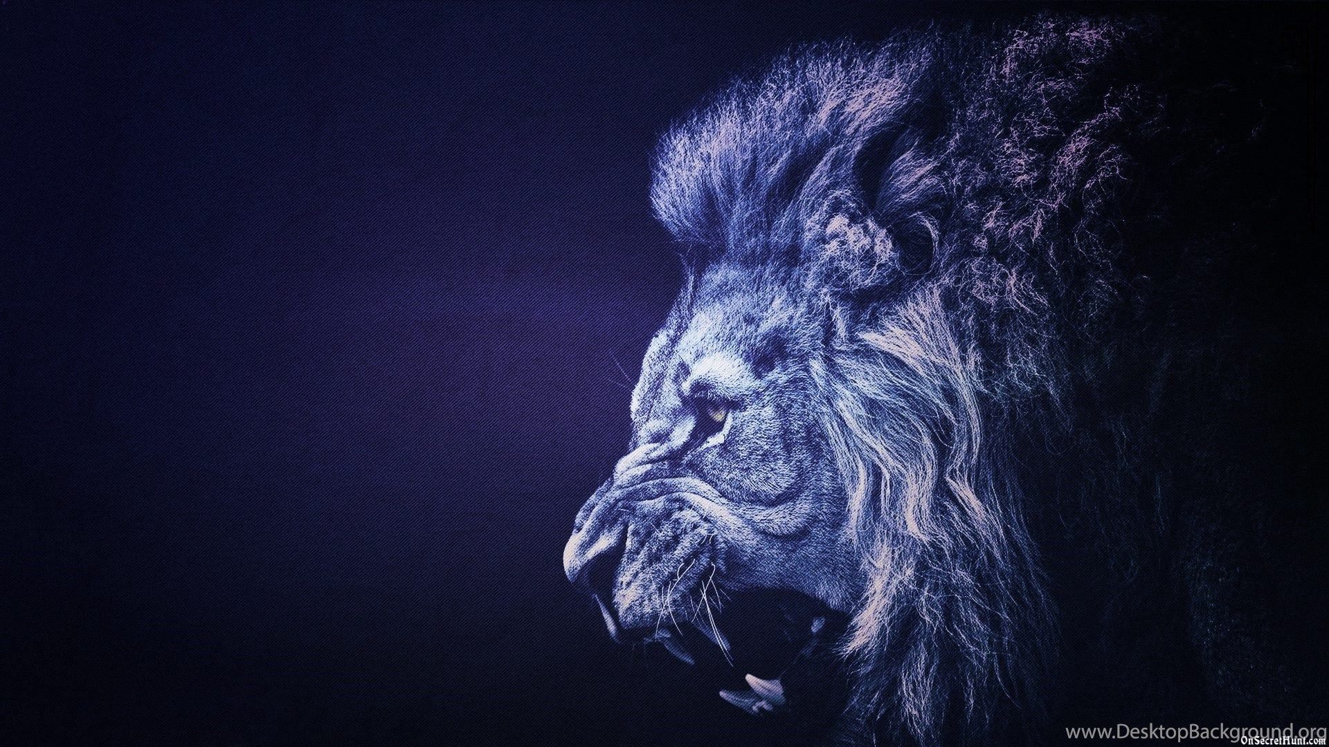 Blue Lion, Creative Art HD phone wallpaper | Pxfuel