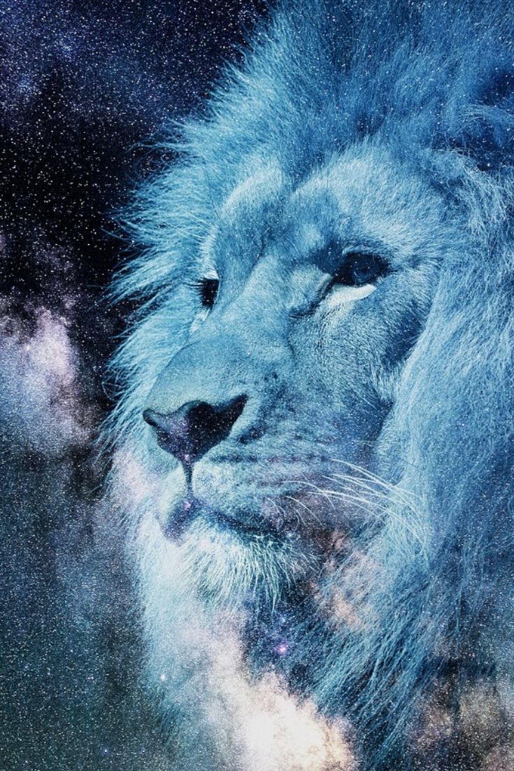 Download Blue Flame Lion Iphone Wallpaper | Wallpapers.com