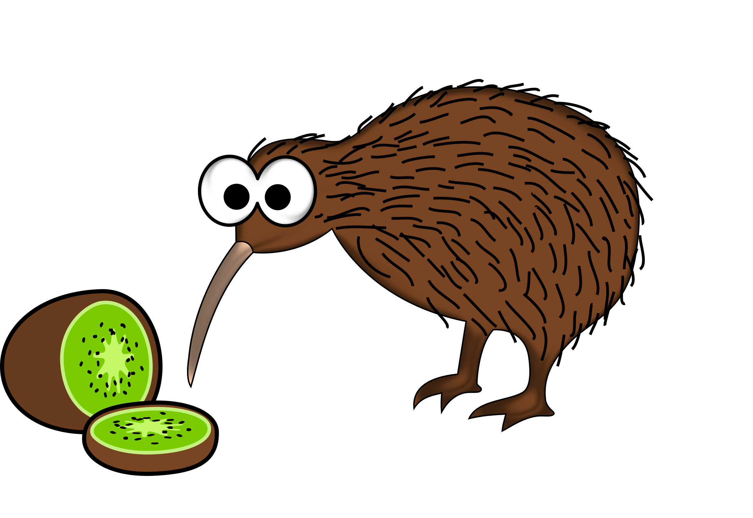 Kiwi clipart bird nz, Kiwi bird nz Transparent FREE for download