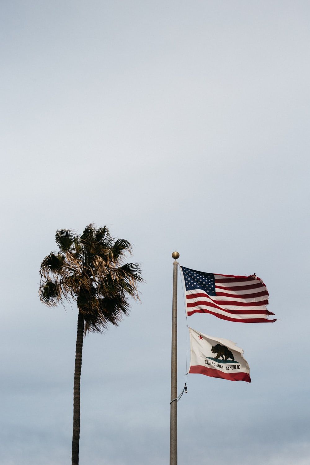 California Flag Picture. Download Free Image
