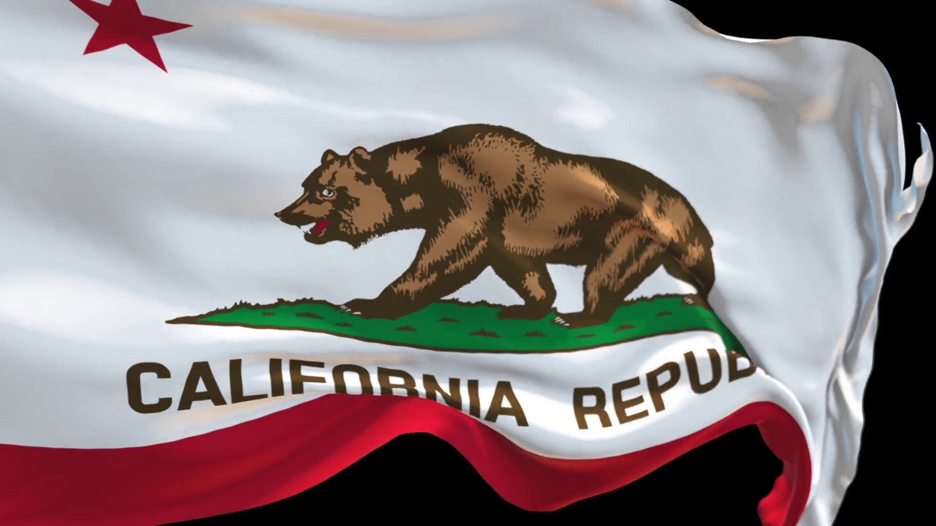 California Flag Waving Flag Collections