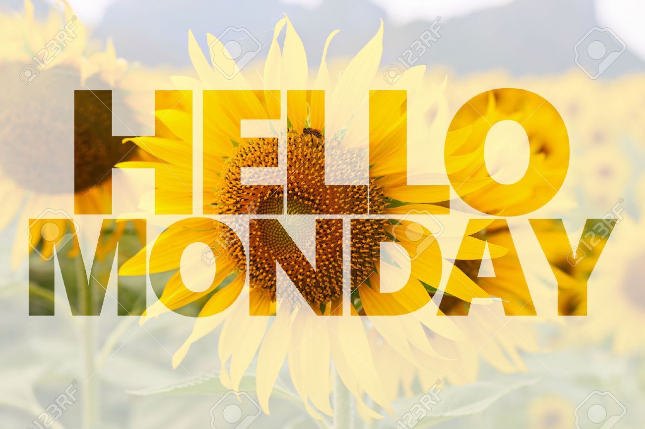 Free download Hello Monday Word On Sunflower Background Stock