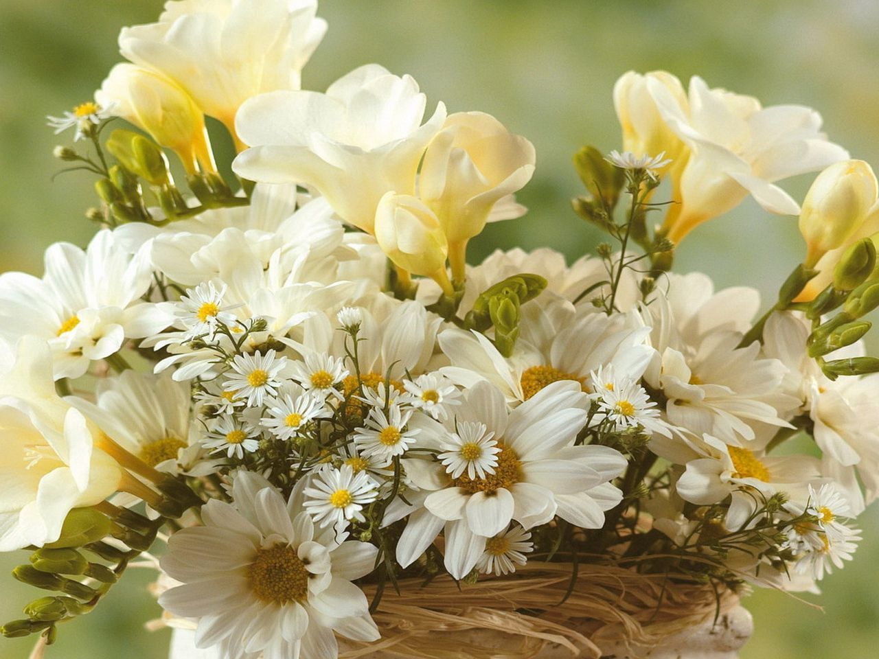 Download wallpaper 1280x960 chamomile, flowers, white, bouquet