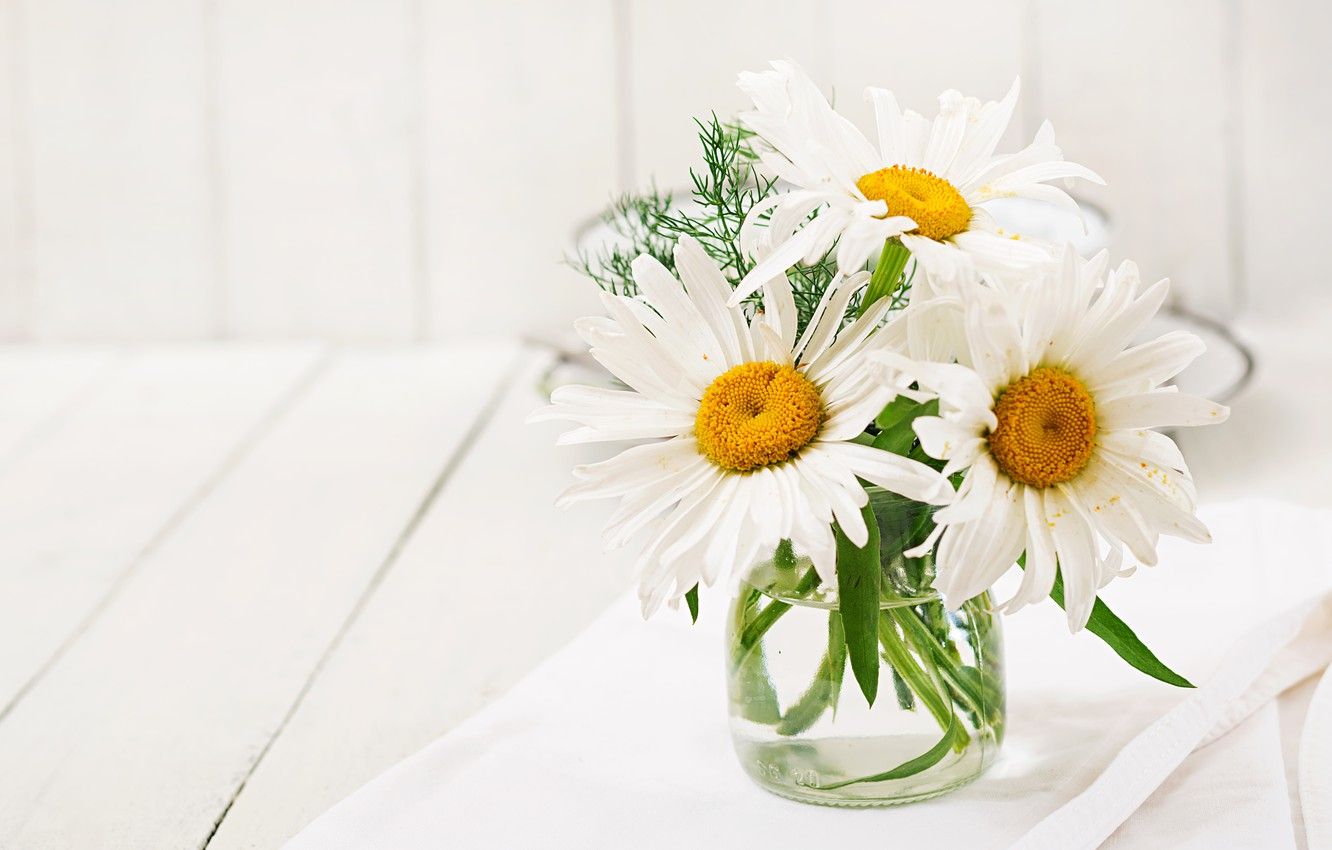Wallpaper summer, chamomile, bouquet, white image for desktop