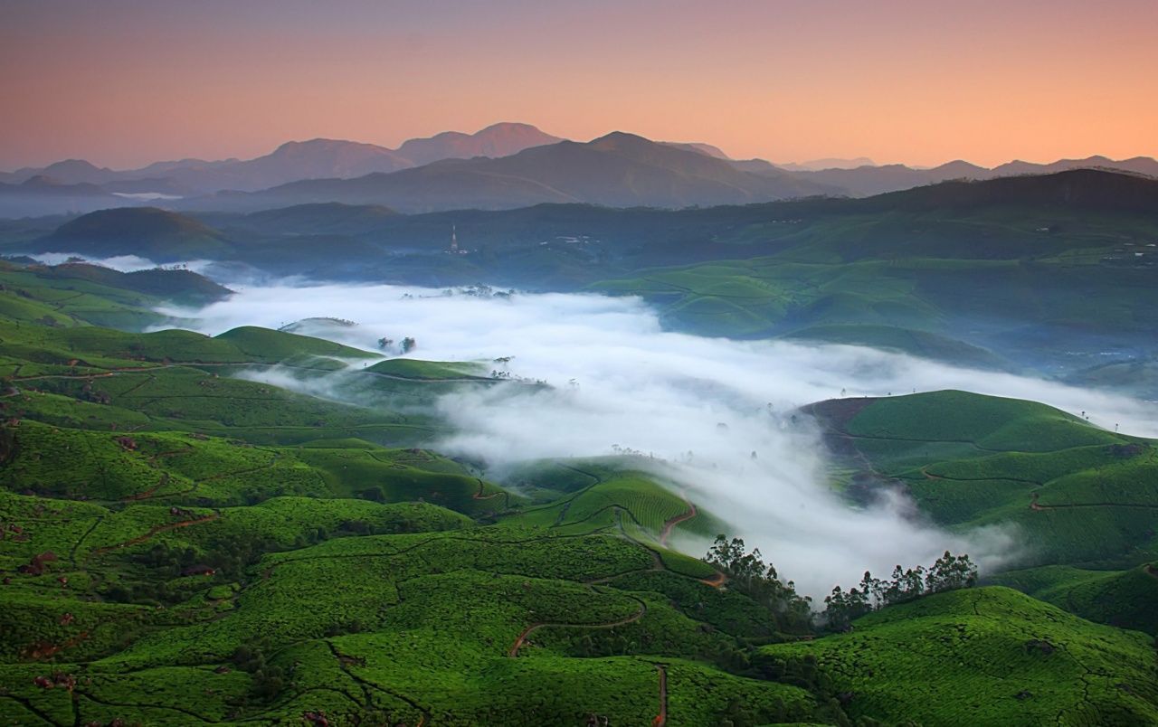 Fog Over Tea Fields wallpaper. Beautiful places on earth, Kerala travel, Munnar