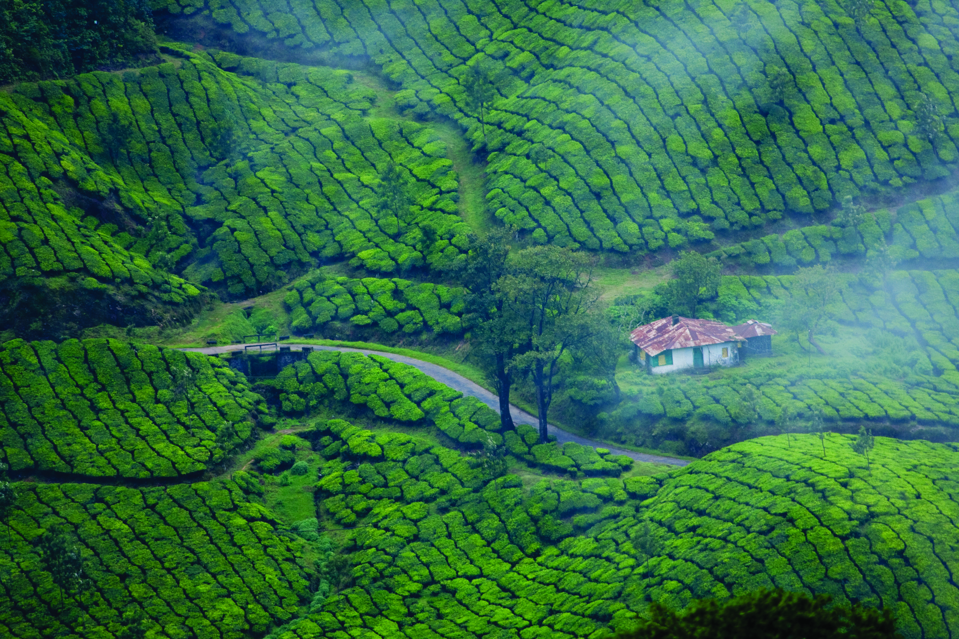 Hills and hill stations of Kerala