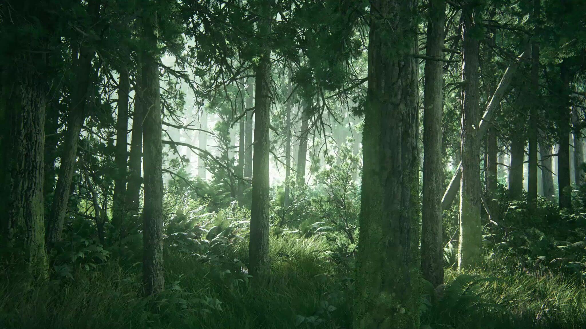 The Last Of Us Part Ii Woods Live Wallpaper 1