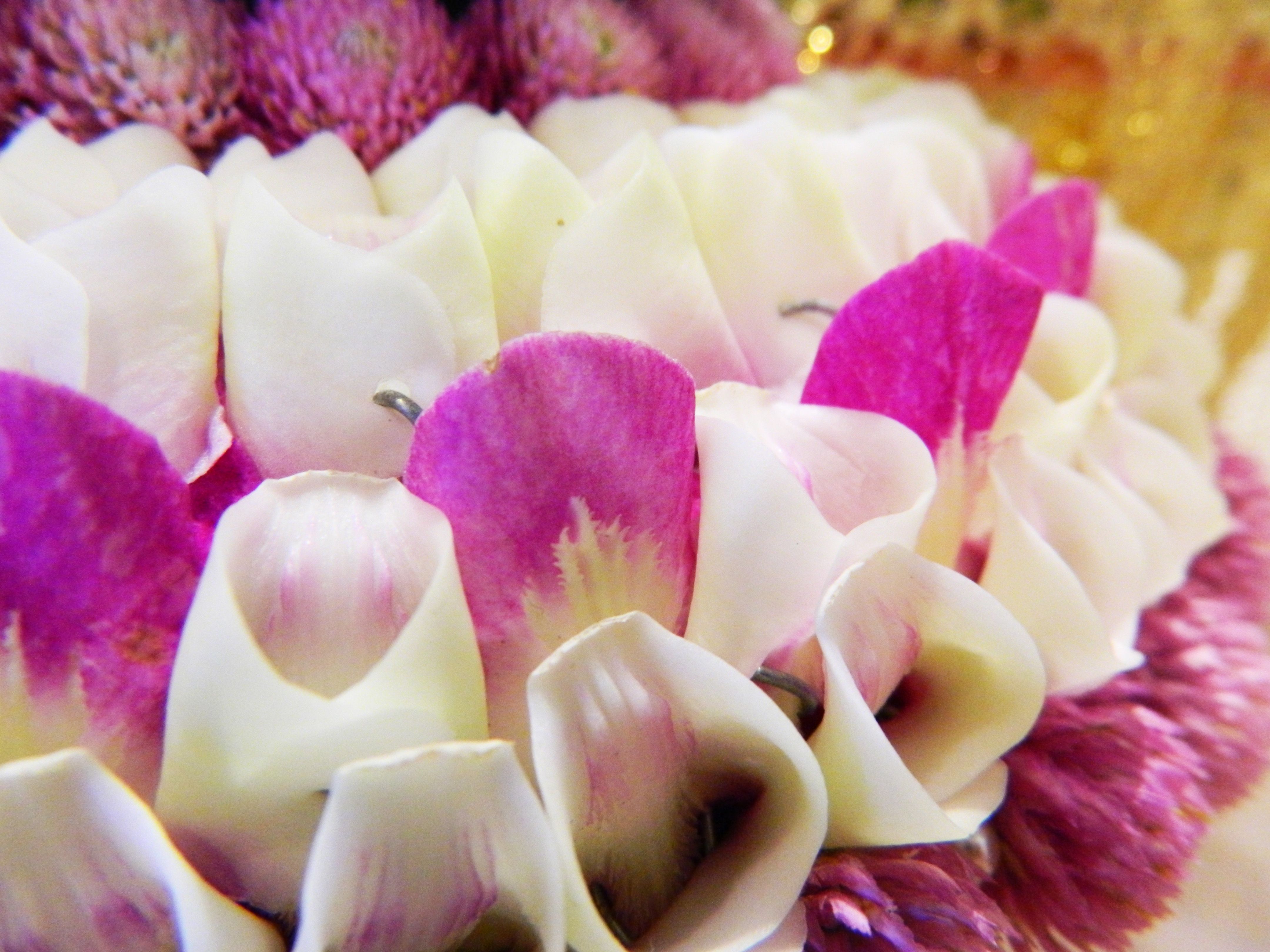 Boom & Chef Win Wedding Wallpaper (Thai Life)