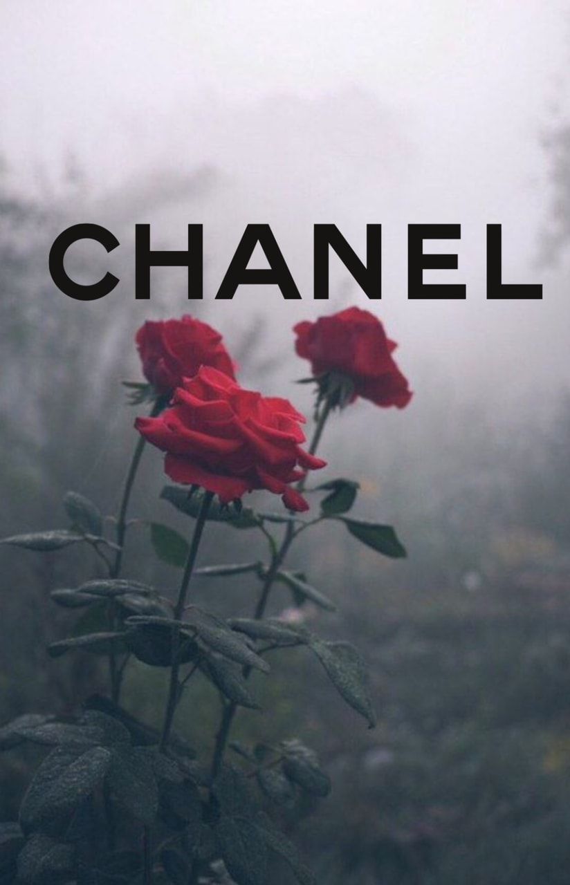 Chanel Aesthetic Wallpapers - Wallpaper Cave