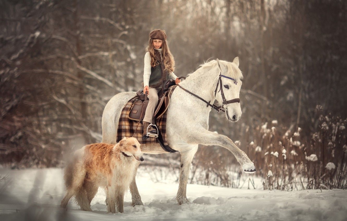 Wallpaper winter, snow, horse, dog, girl, rider image for desktop