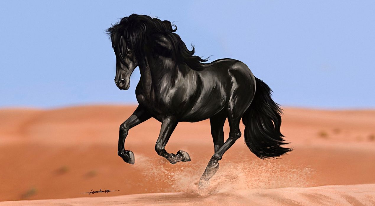 Horses Black Animals horse painting paintings wallpaper