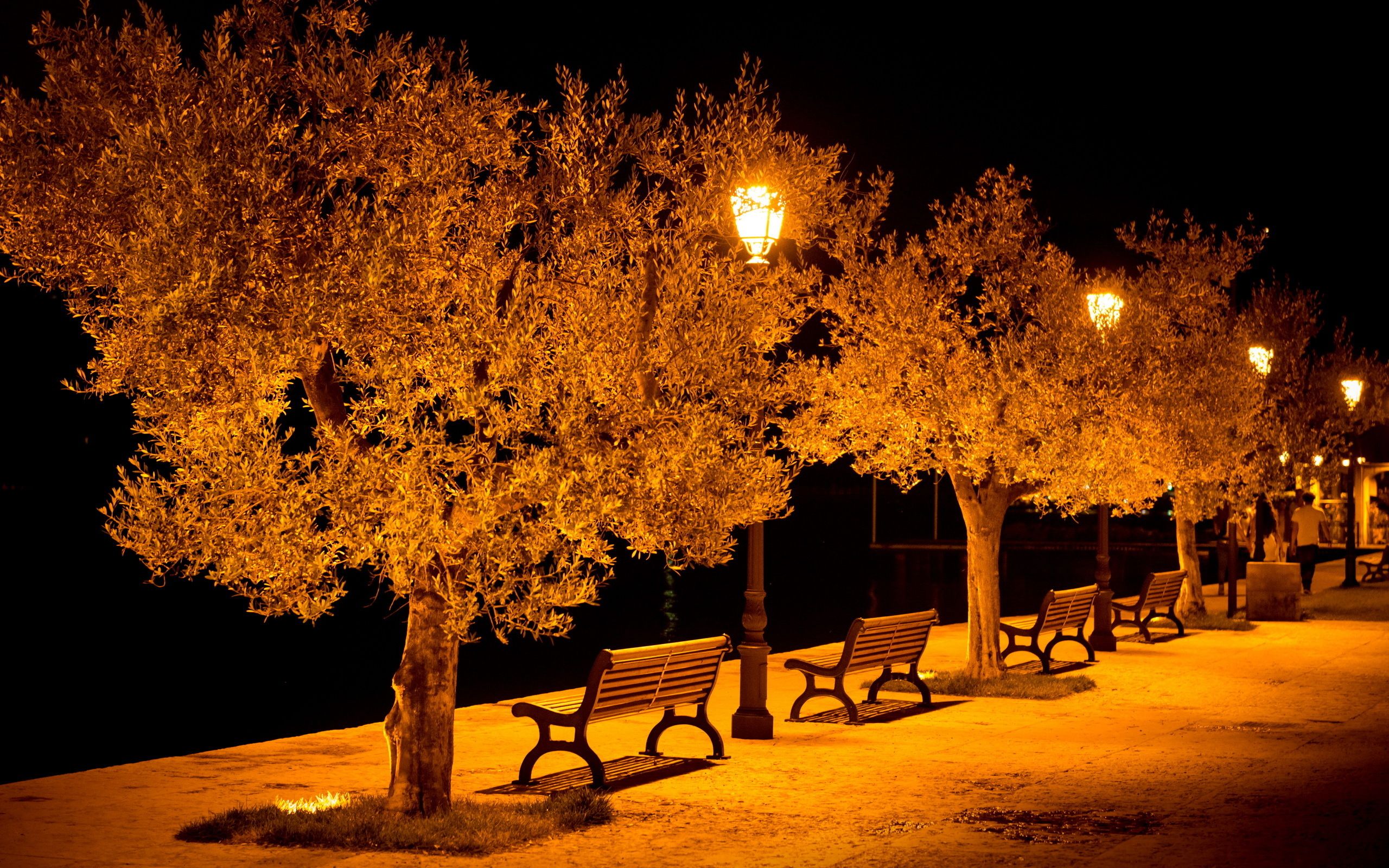 City aeYaeY street benches light lights bench night mood wallpaper