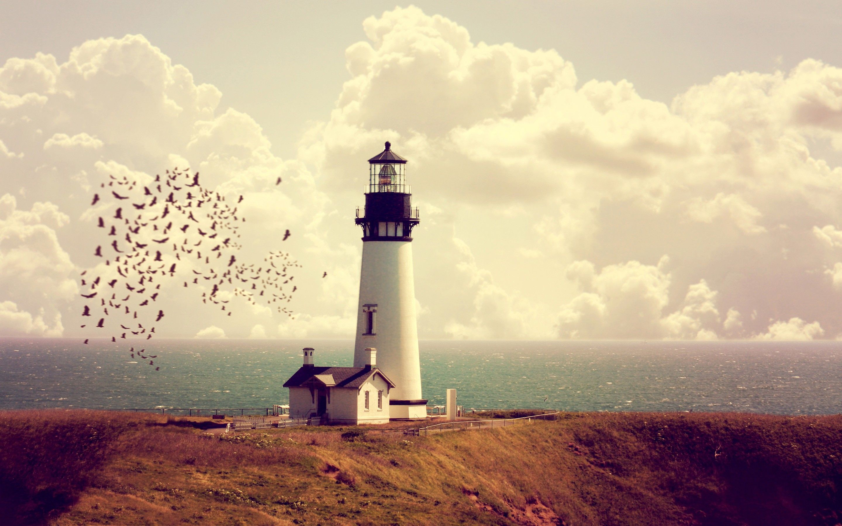 Lighthouse Tower Sea Horizon, HD Nature, 4k Wallpaper, Image
