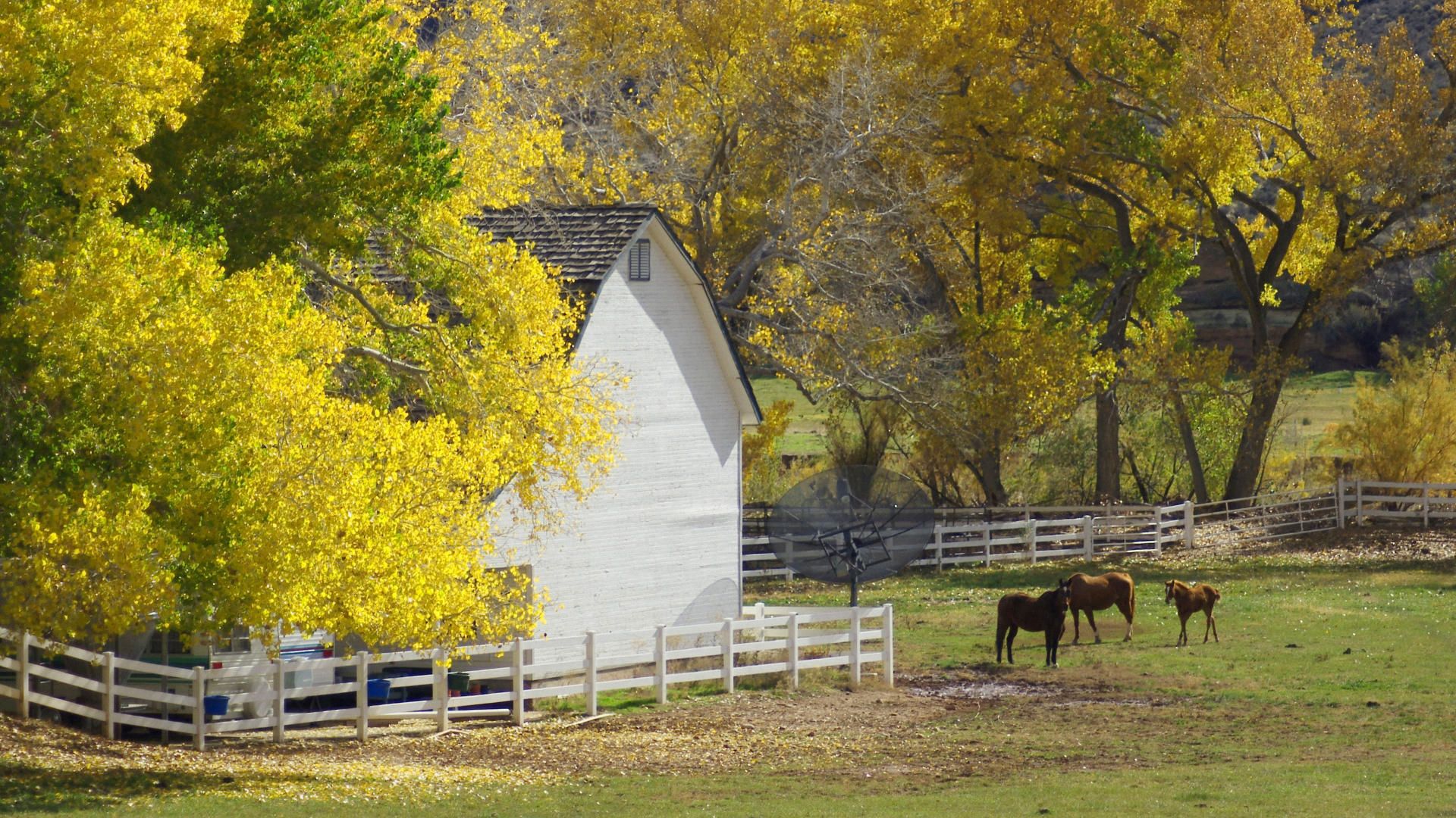 Free download Autumn country farm wallpaper ForWallpapercom
