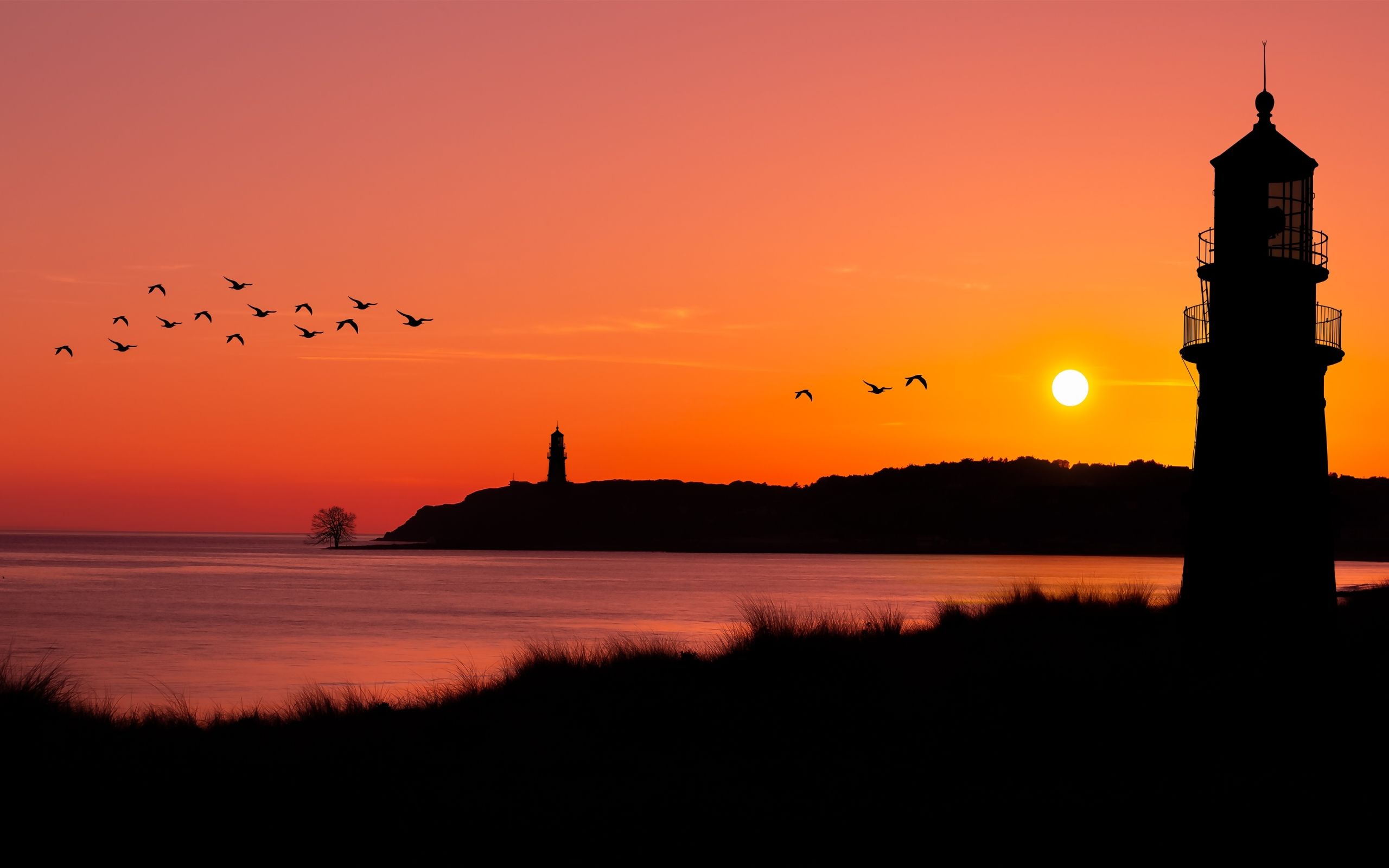 Wallpaper of Flock Of Birds, Lighthouse, Ocean, Sunset, Nature