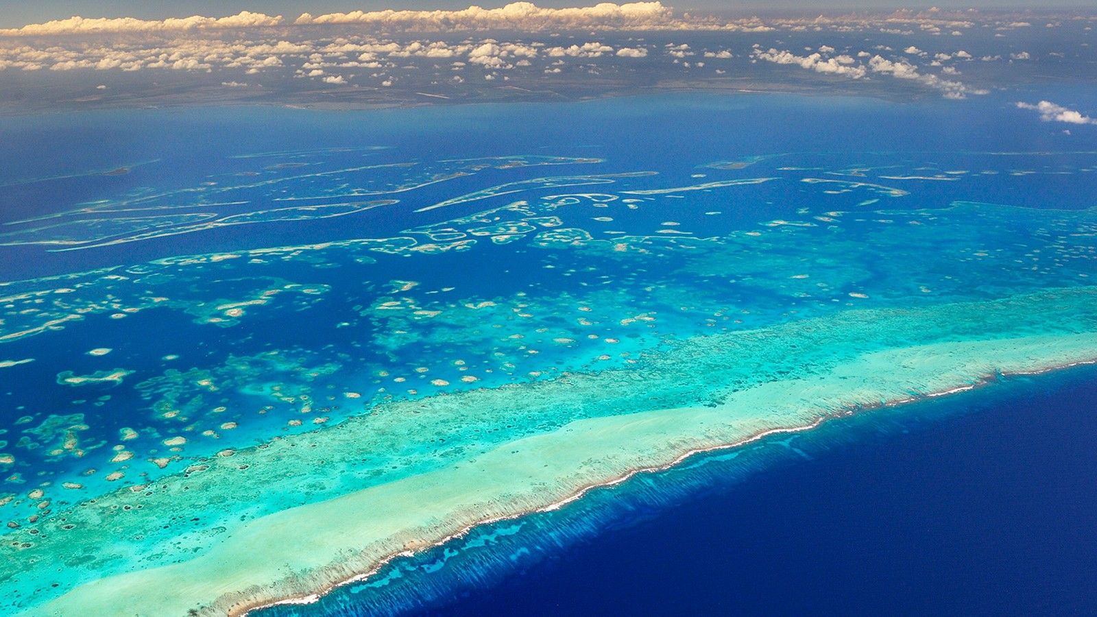 A Hot Summer Day by the Seaside, the Sky is Blue and Cloudless