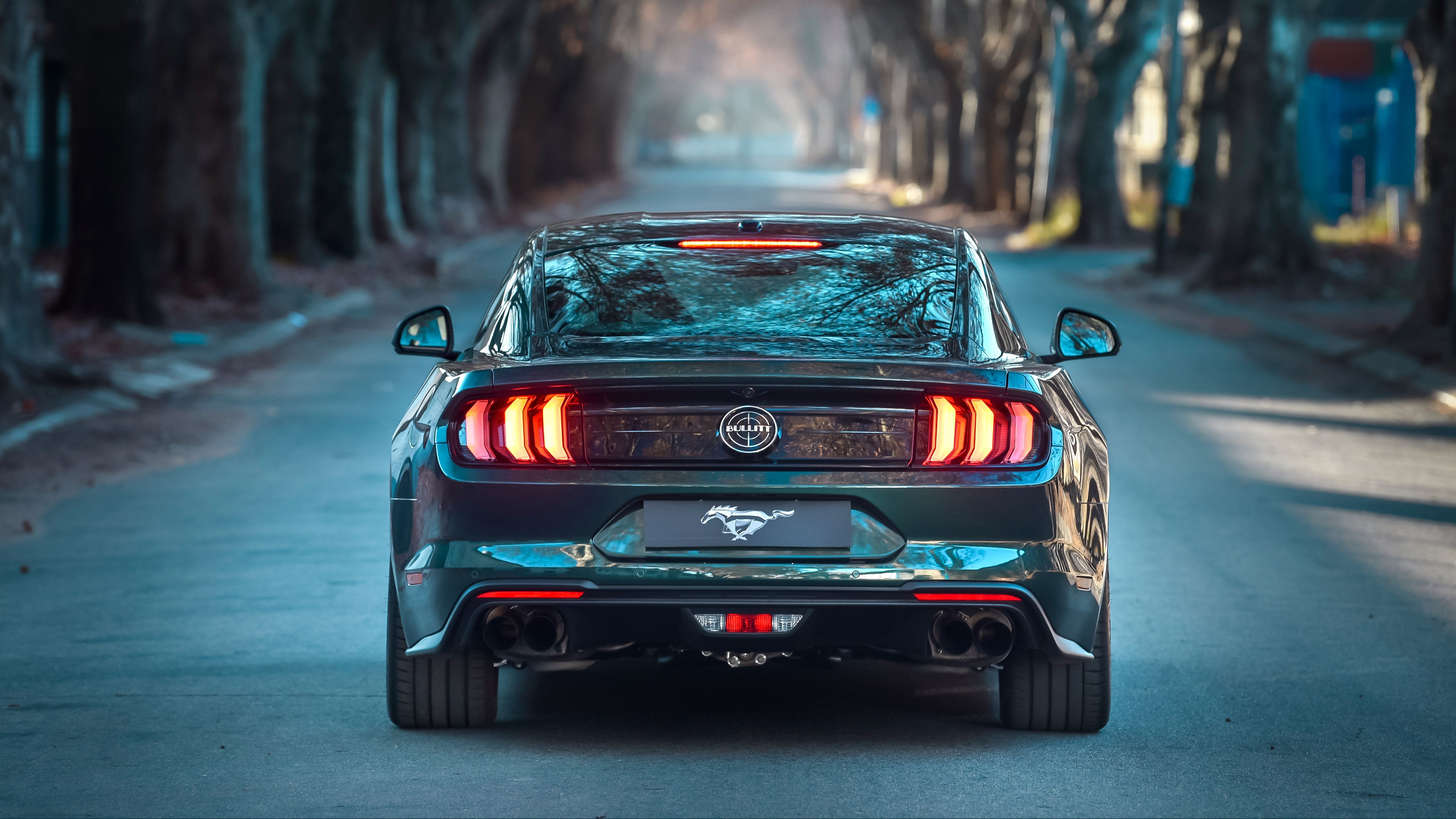Ford Mustang Bullitt 2019 4K 4 Wallpaper. HD Car Wallpaper