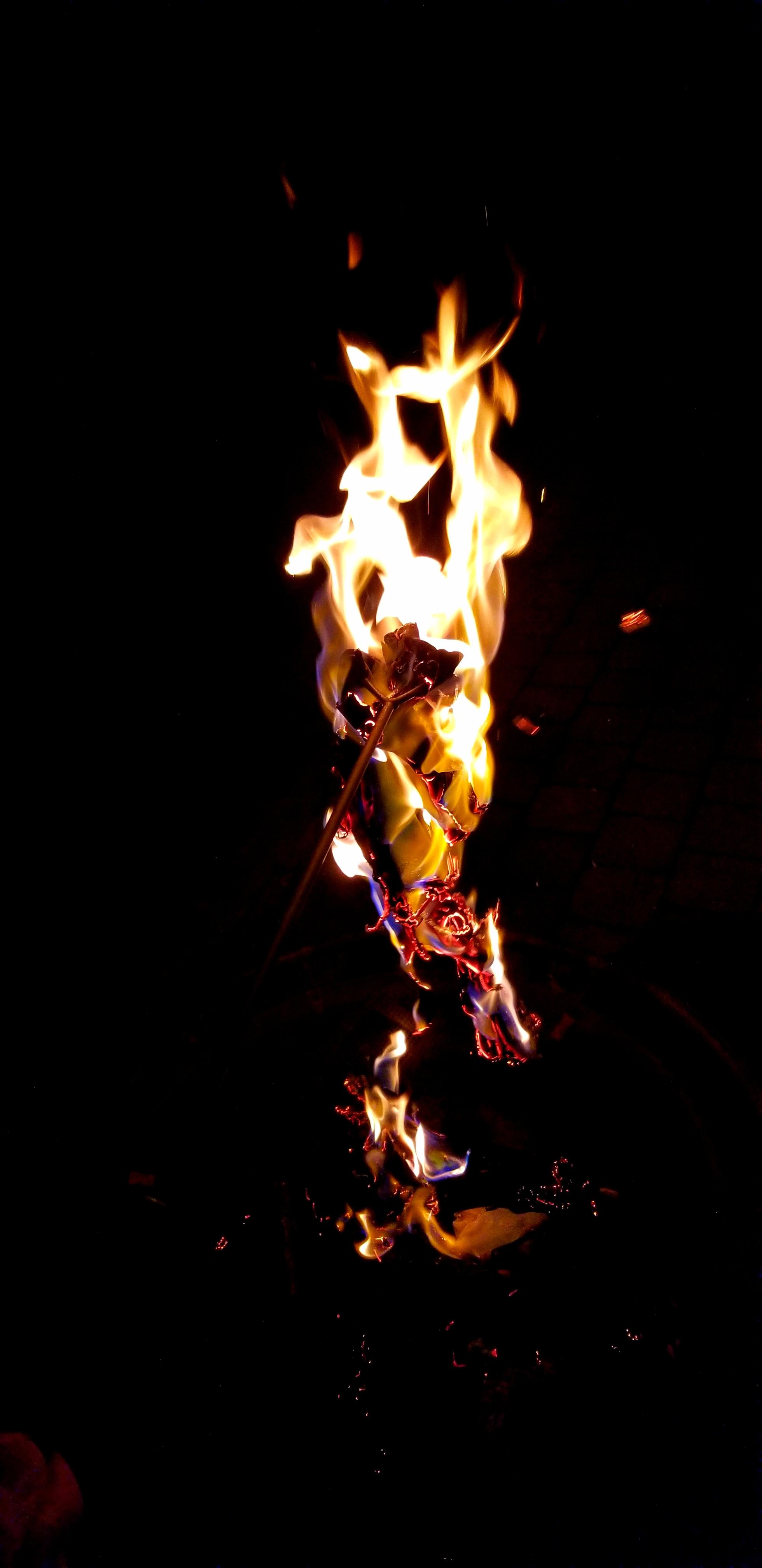 Fire. [1440 x 2960]