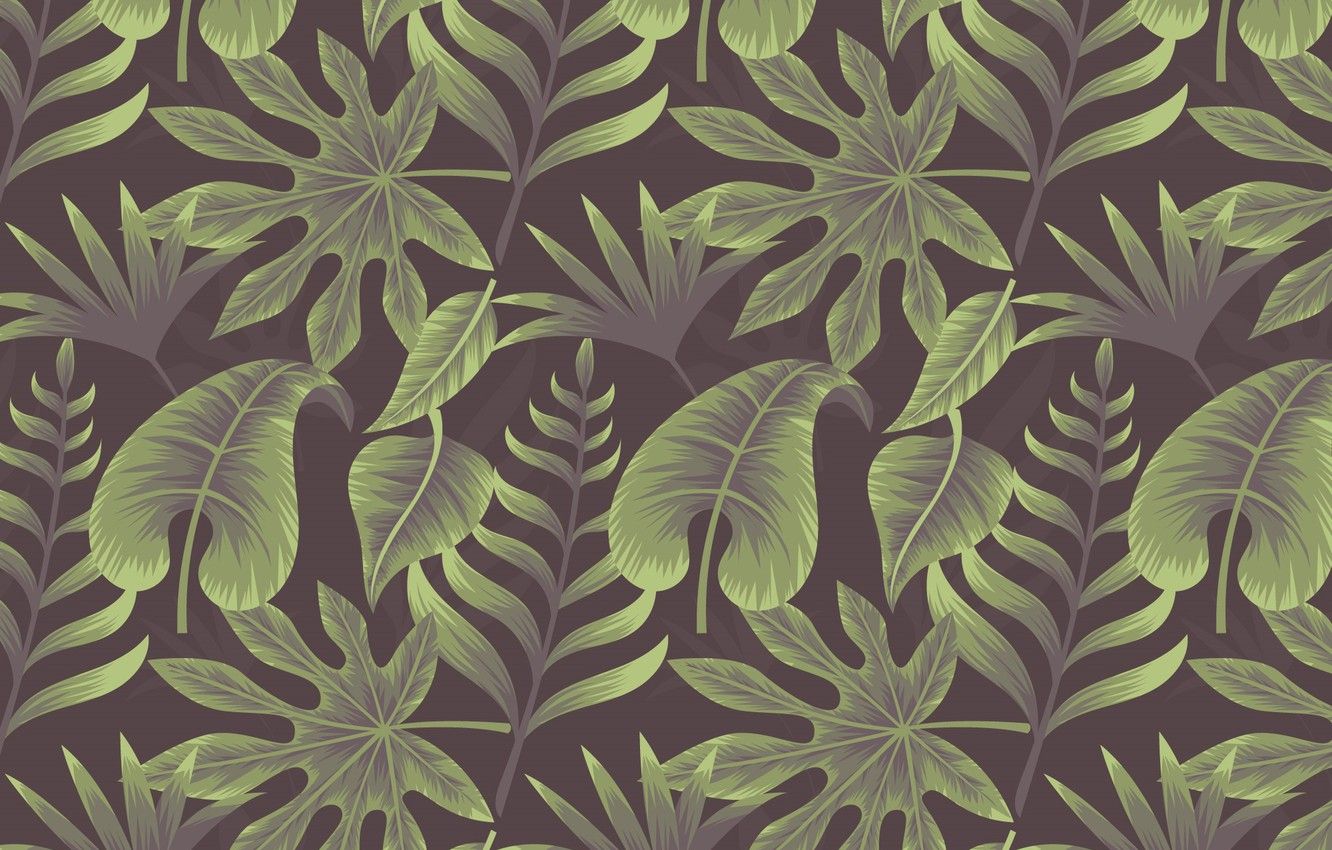 Wallpaper background, texture, background, Leaves, Tropical, Plant