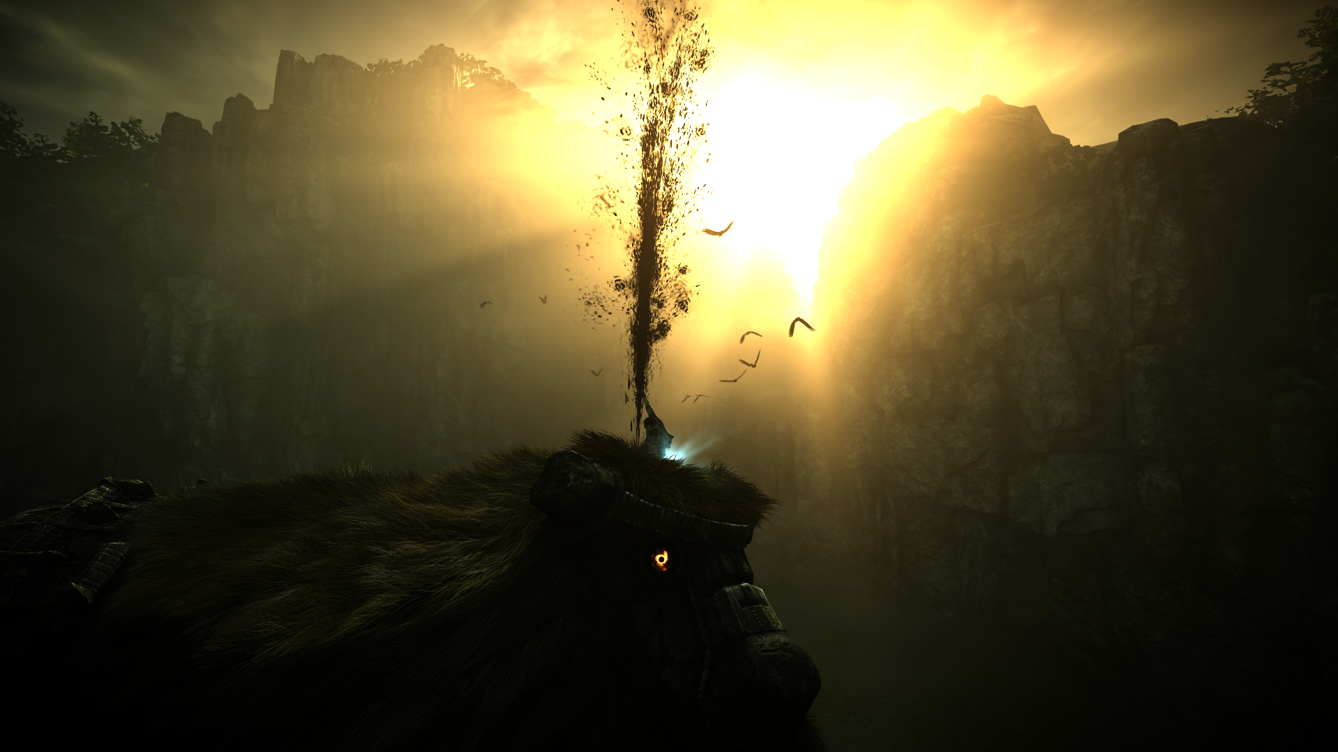 Shadow of the Colossus] [Screenshot] Bluepoint has done such an