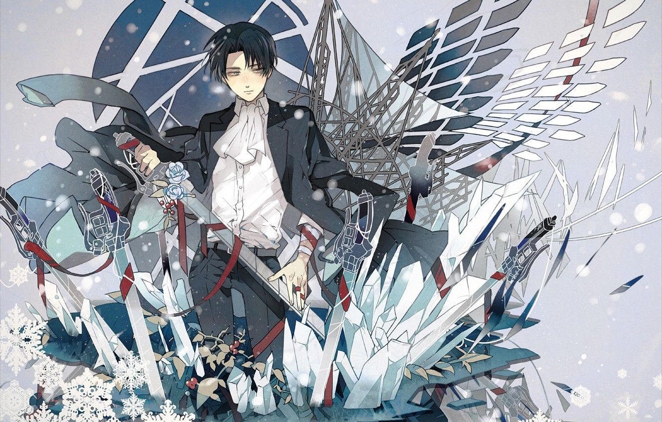 Wallpaper snowflakes, wings, emblem, swords, sheath, white shirt