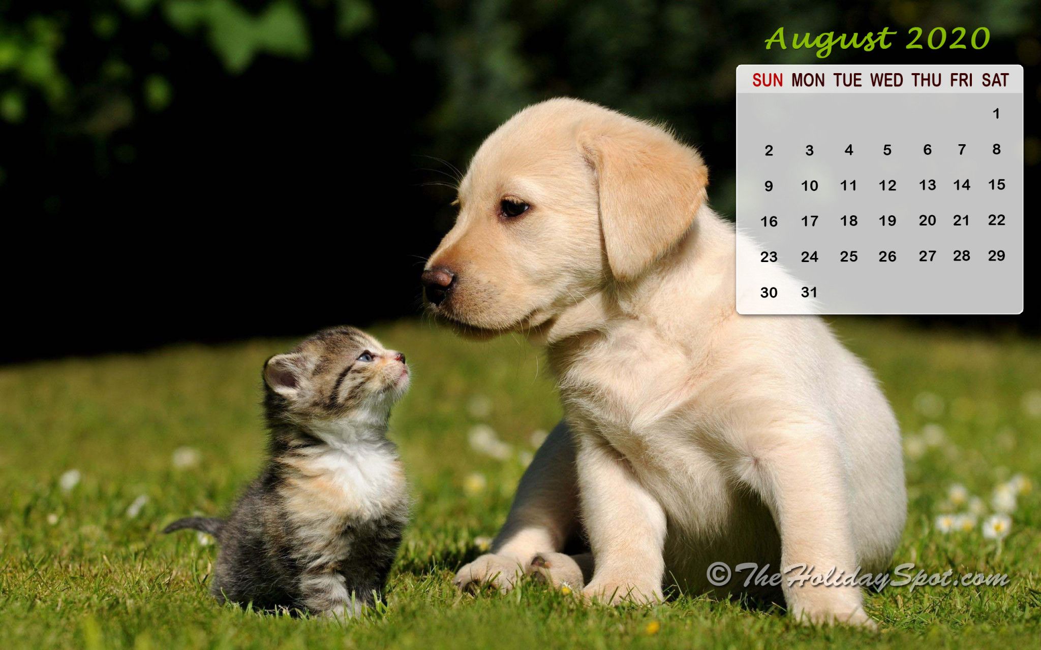 August 2020 Calendar Wallpaper