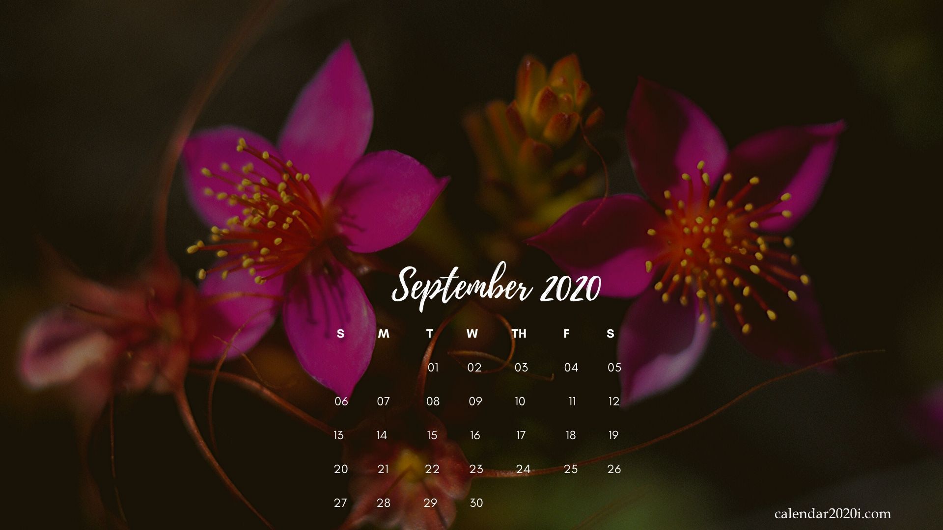 Desktop Monthly Calendar Download