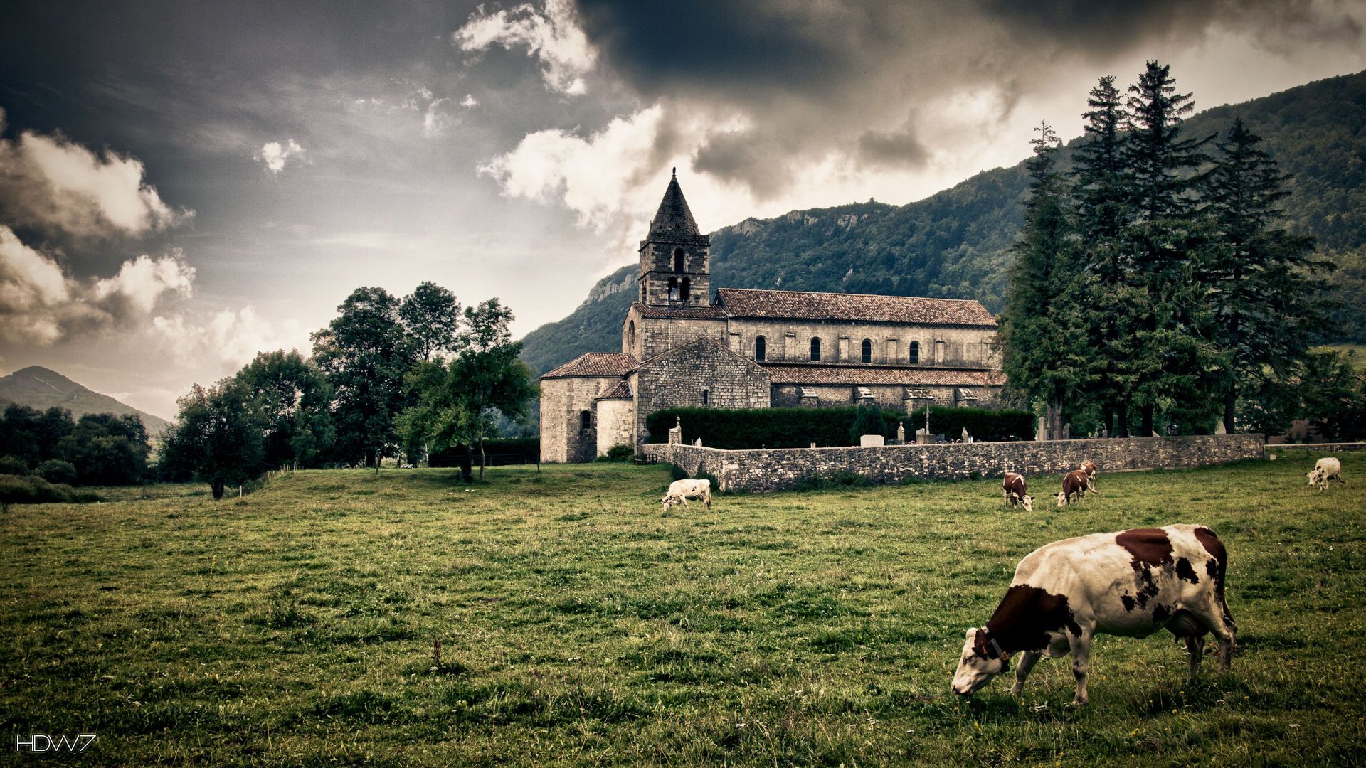 cows pasture old church 1920x1080. HD wallpaper gallery