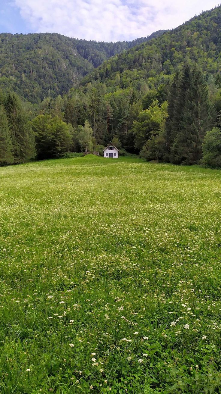flowers #house #nature #summer #grass #green #daisies #wallpaper #android #iPhone #mobile #backgrou. House in nature, Scenery wallpaper, Green scenery