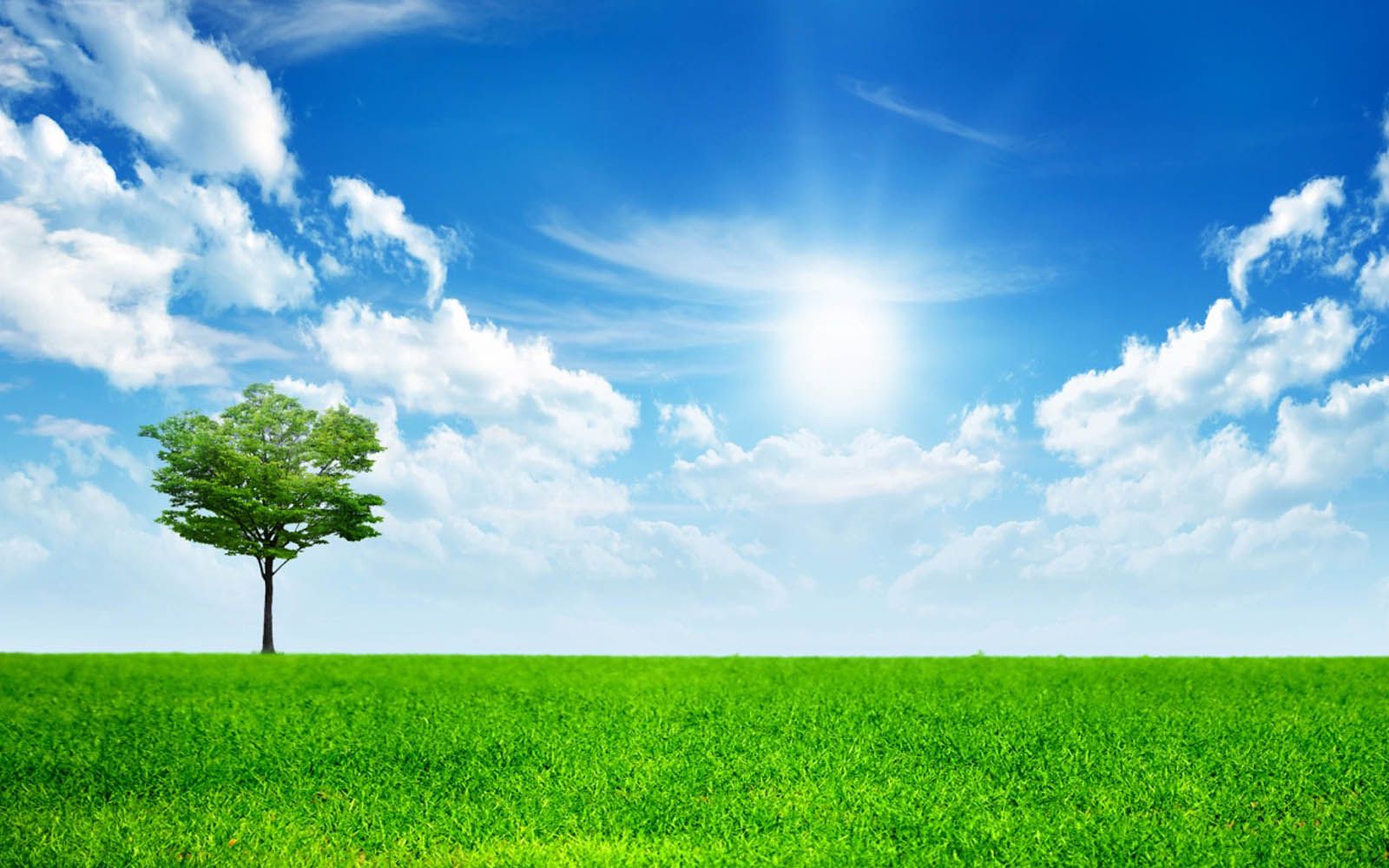 Natural Image Wallpaper