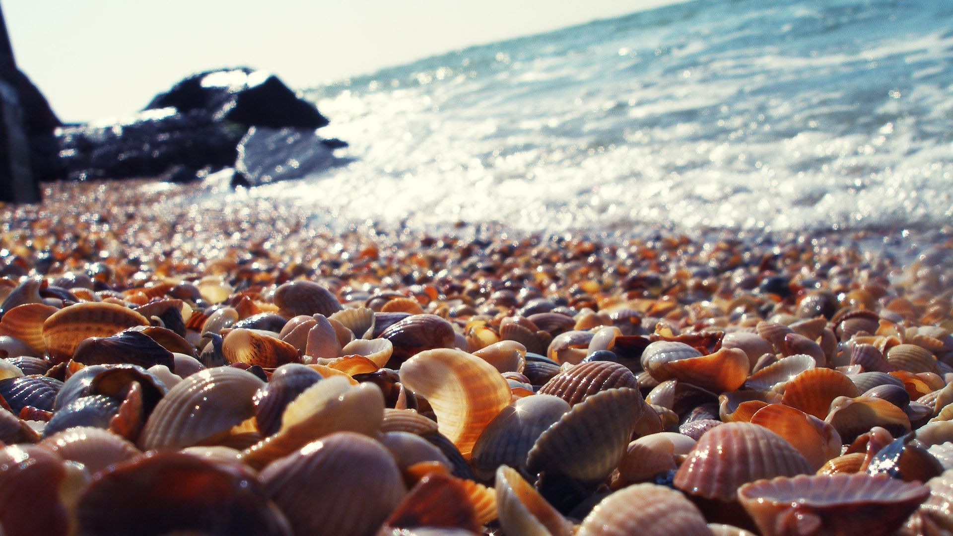krapetz, Bulgaria, Beach, Shells, Ocean, Bokeh Wallpaper HD / Desktop and Mobile Background