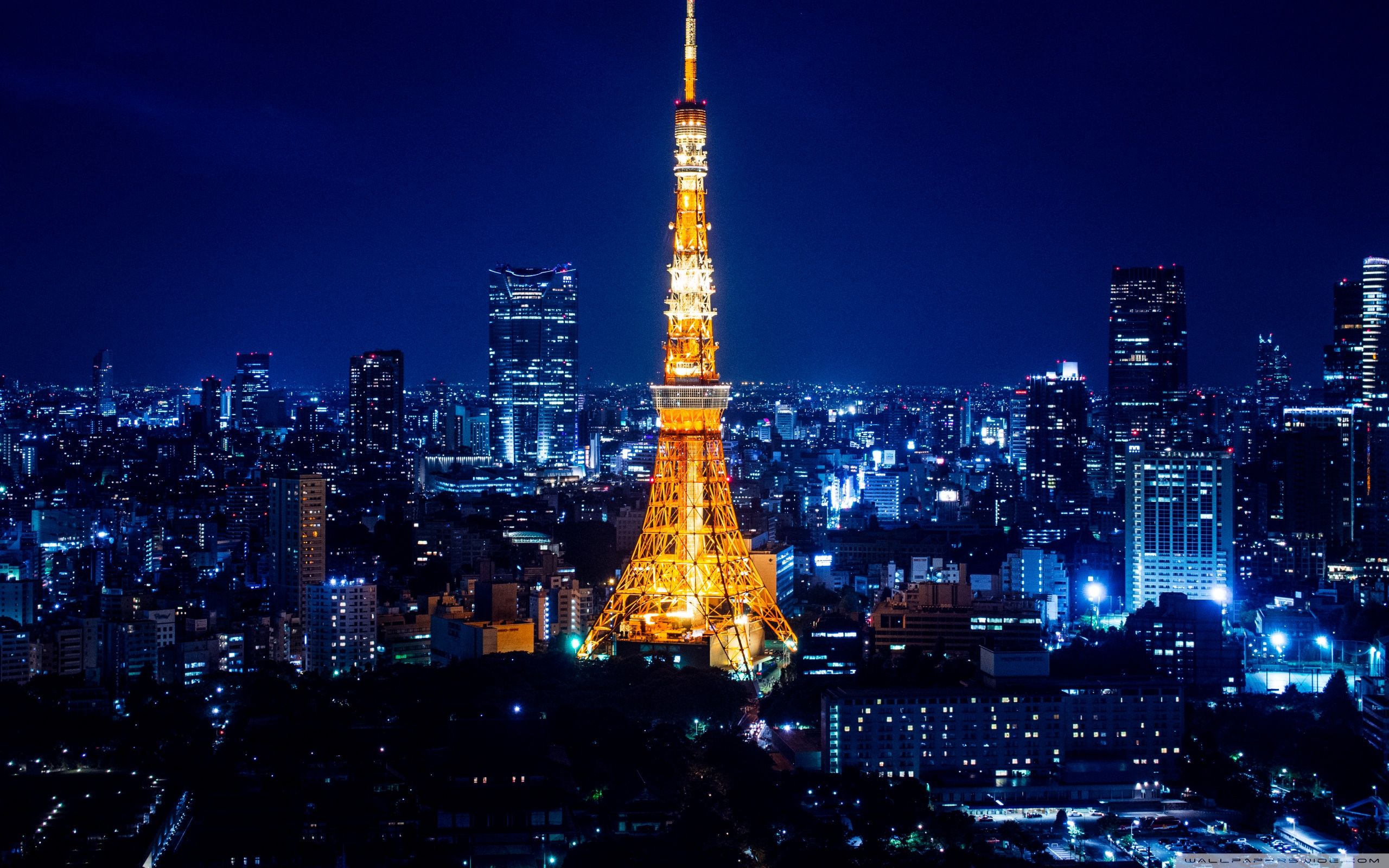 Tokyo At Night Wallpaperx1600