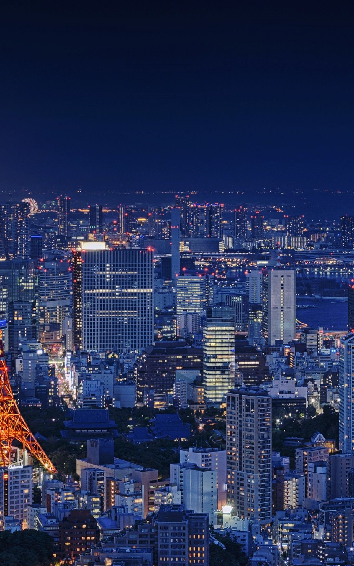 Download 1200x1920 Japan Tokyo, Night, Cityscape, Buildings