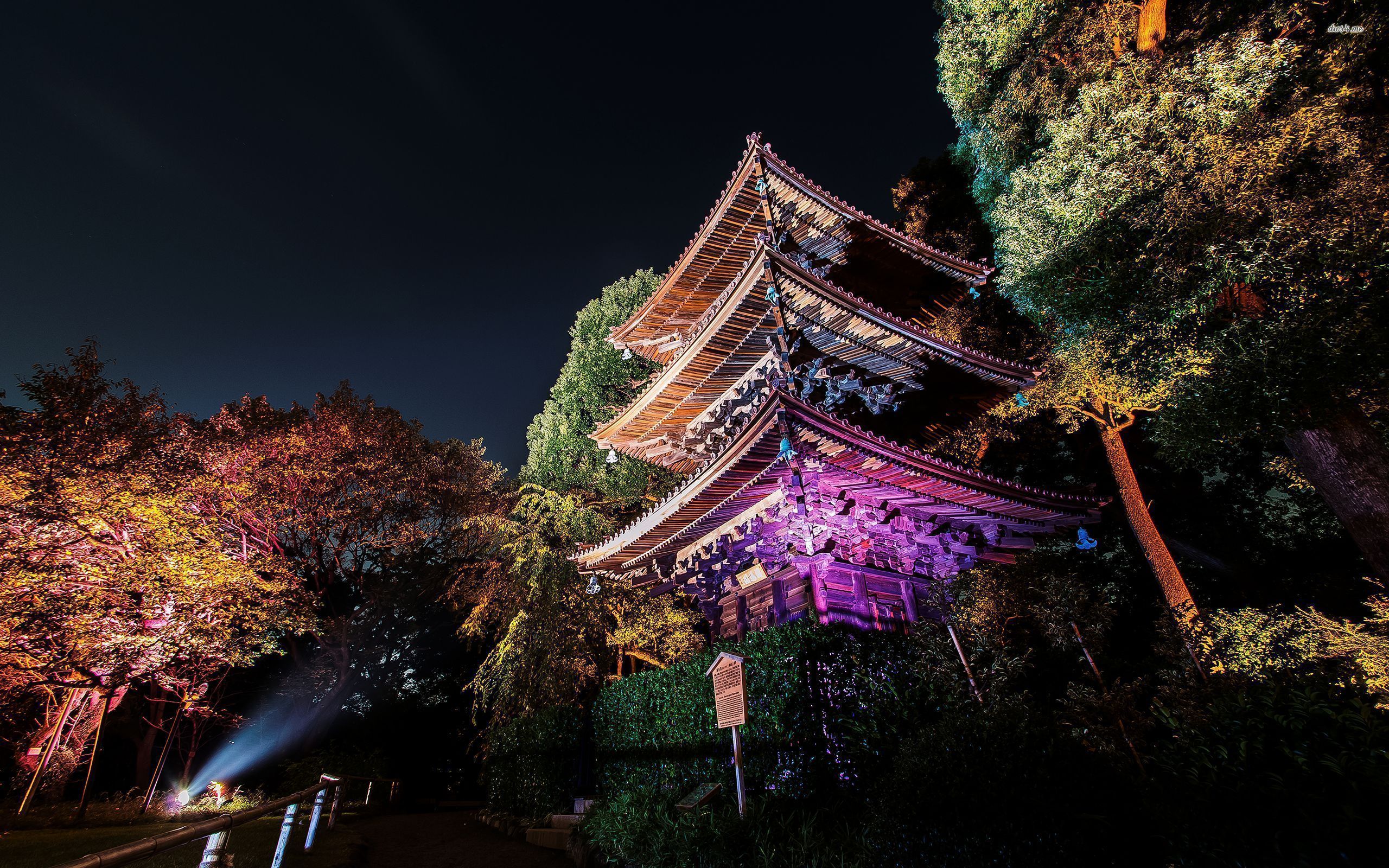 Tokyo, Night Wallpaper HD / Desktop and Mobile Background