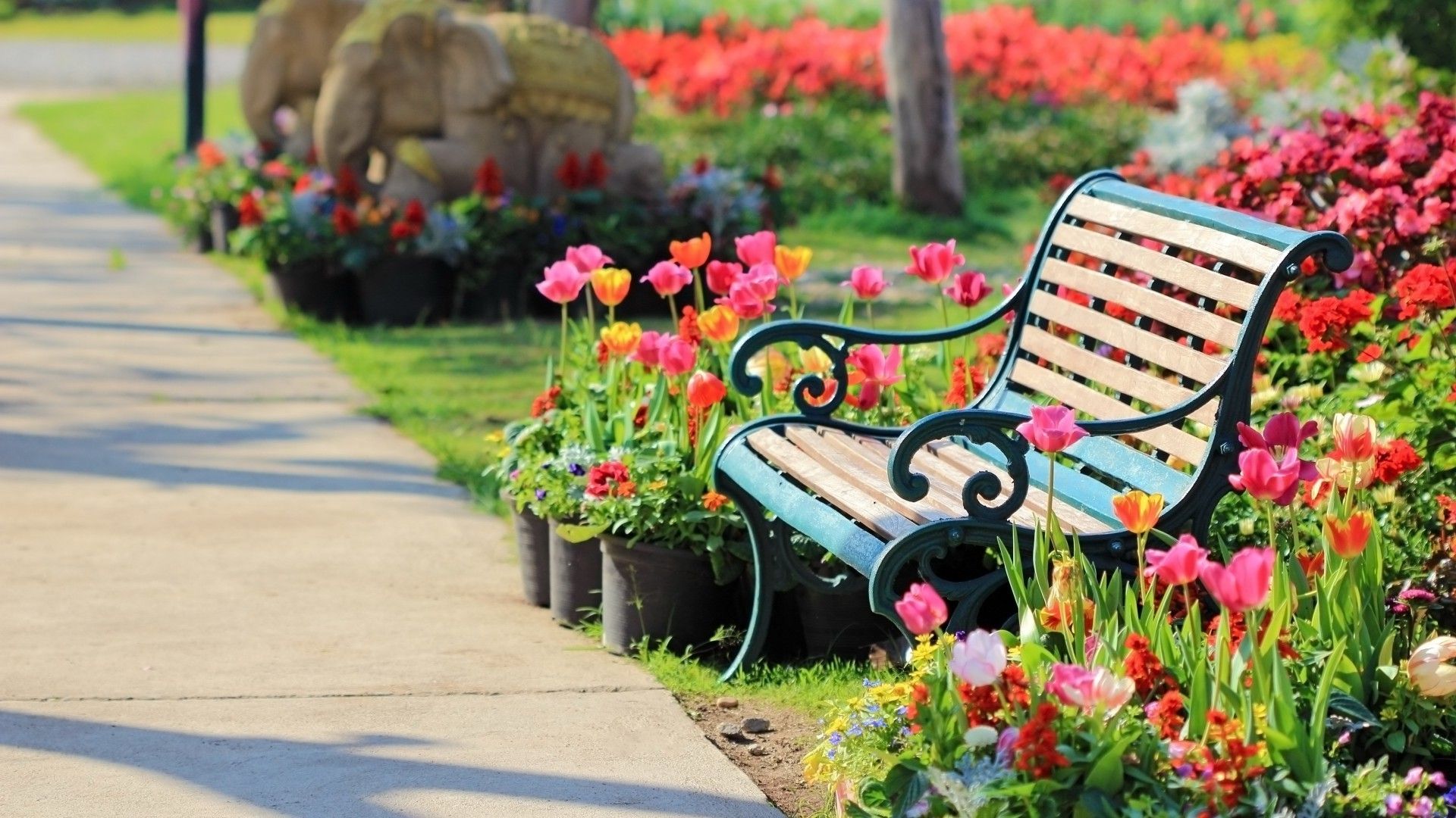 Bench in the Park among the flowers