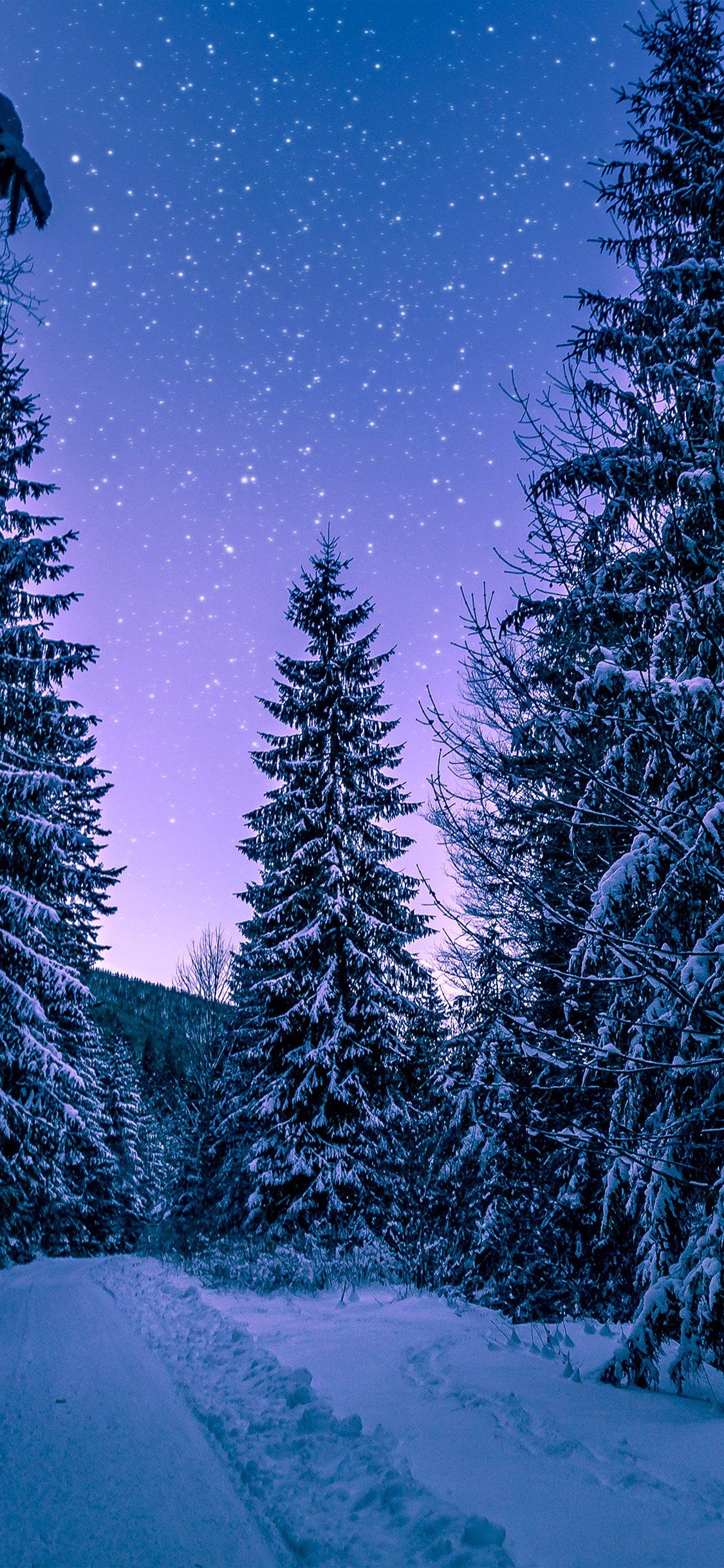 Winter Mountains Snow Forest Trees iPhone Wallpaper