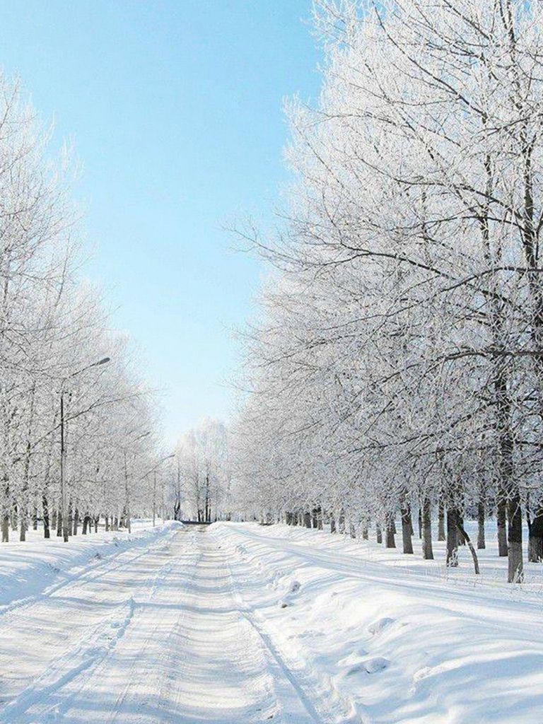 Free download Snow Winter iPhone Wallpaper Download Winter