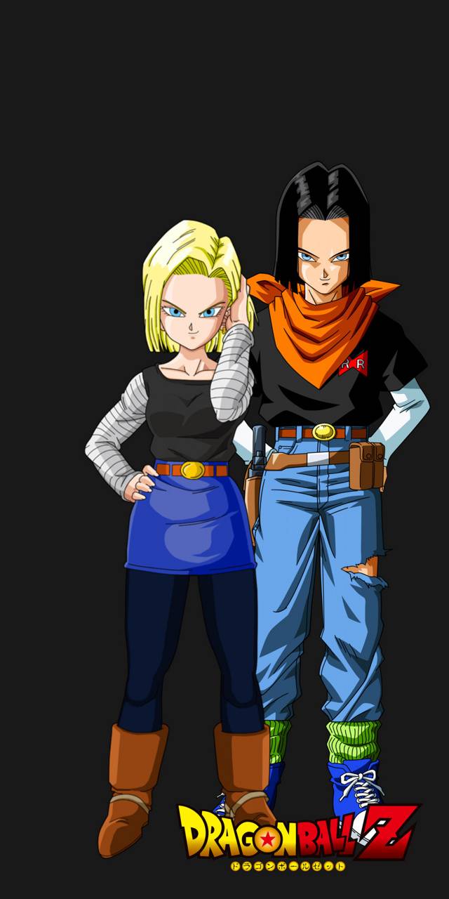 Android 17 and 18 wallpaper