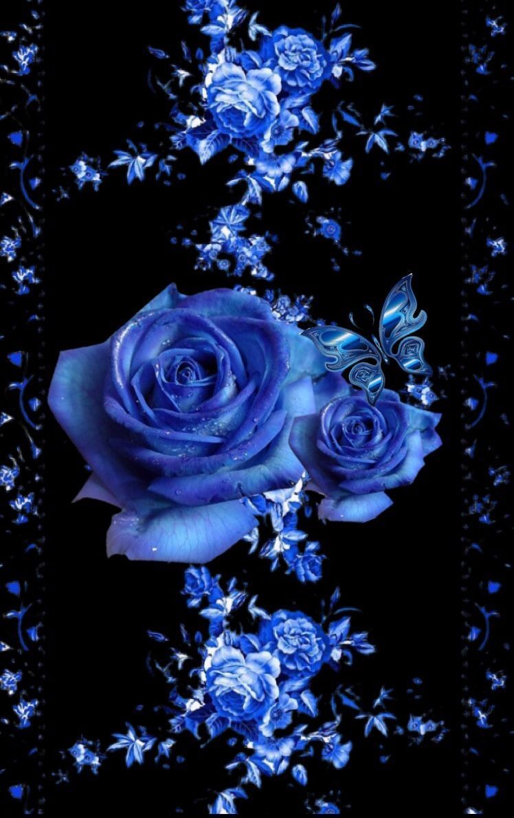 Download wallpaper 1125x2436 blue rose dark close up iphone x 1125x2436  hd background 10127