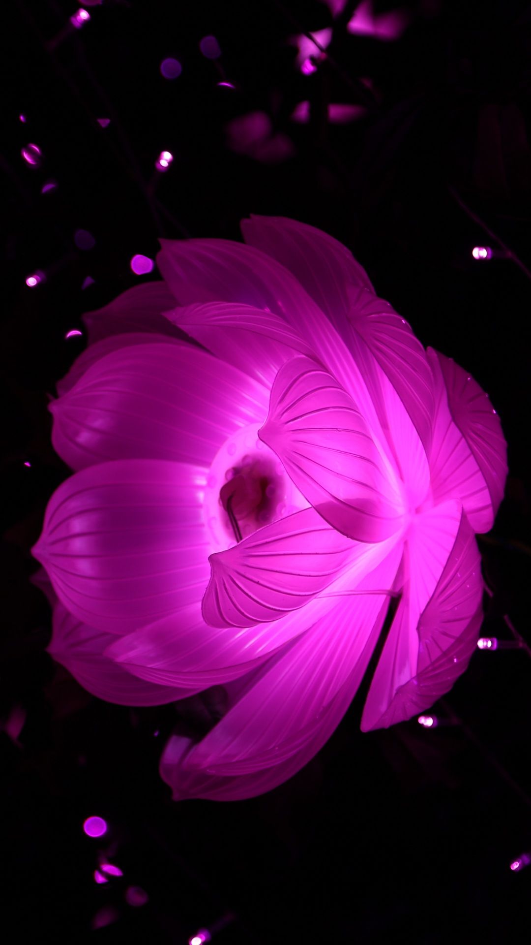 Pink And Black Flower Wallpaper