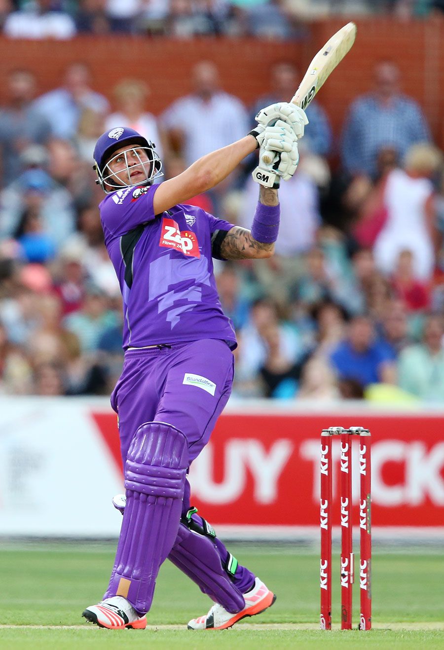 Alex Hales made 29 off 24 balls. Photo. Big Bash League