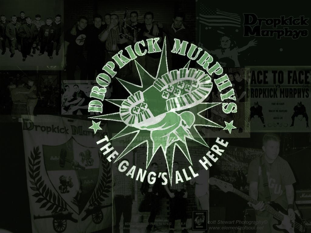 Download Dropkick Murphys wallpaper to your cell phone bulldog