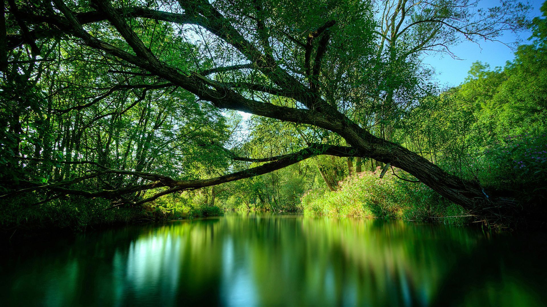 Tranquil River Wallpapers - Wallpaper Cave