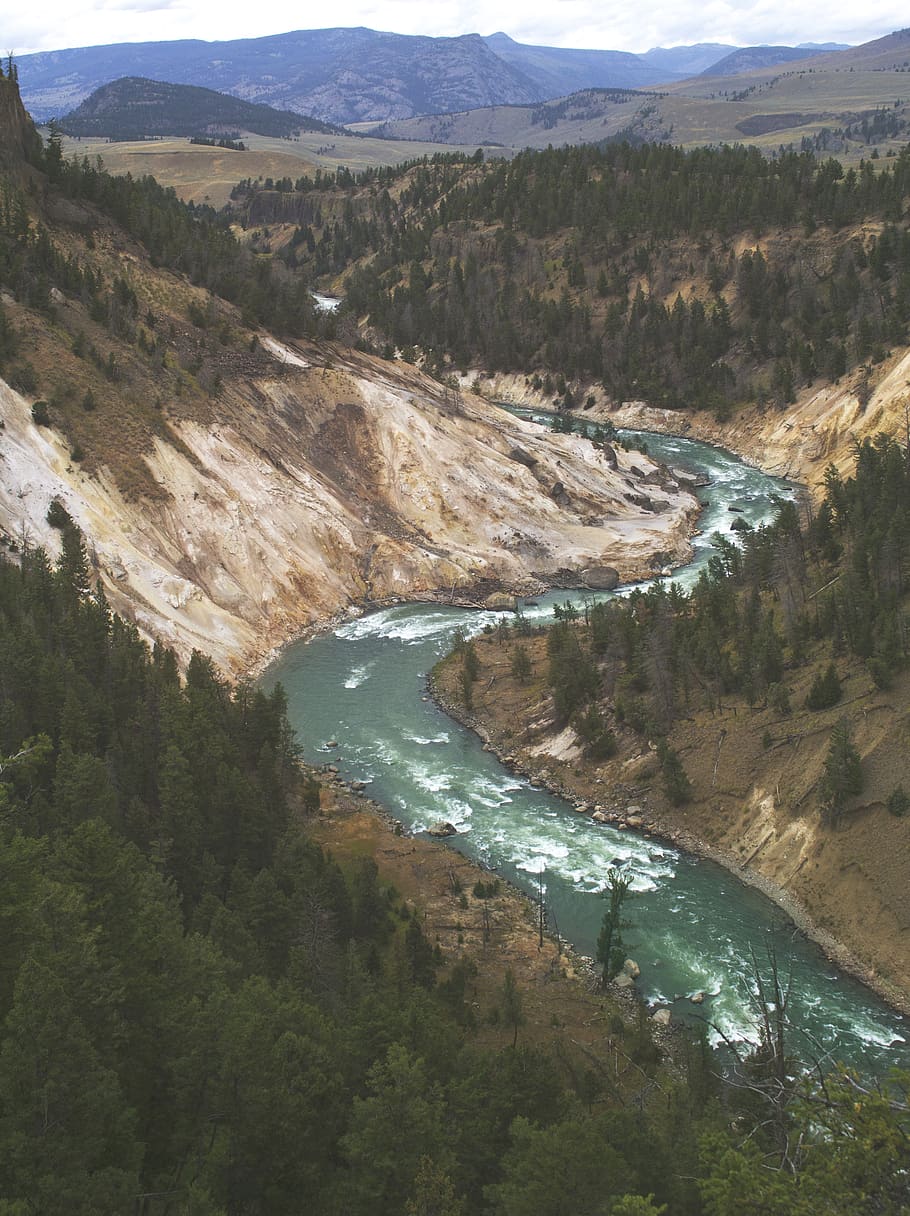 united states, yellowstone national park, snake, mountain